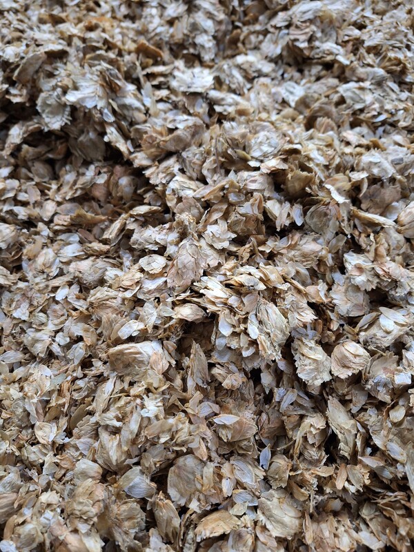 Verouderde hopbloemen (aged Hops)