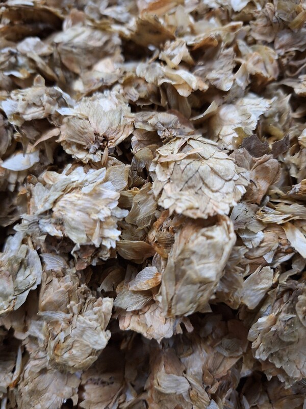 Verouderde hopbloemen (aged Hops)