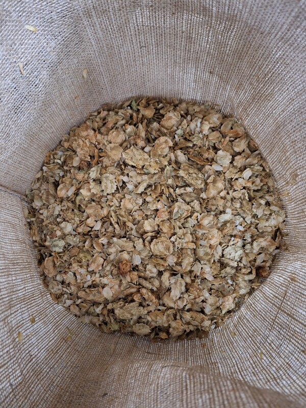 Verouderde hopbloemen (aged Hops)