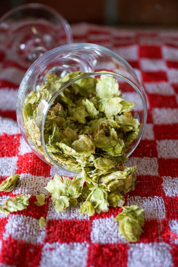 Tettnanger hop - pellets 2022